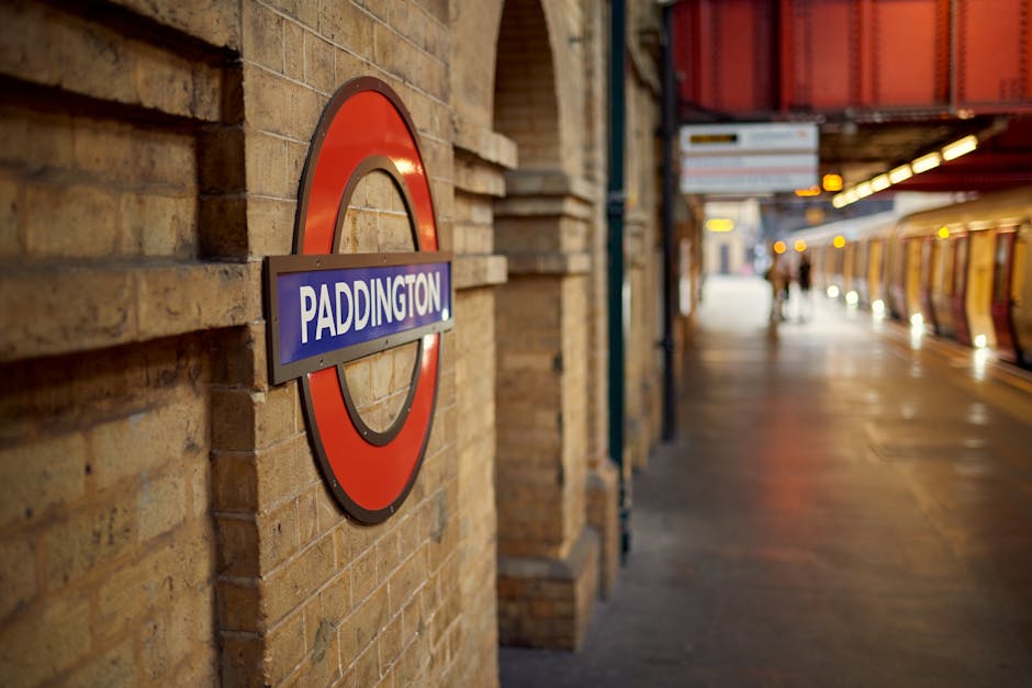 A spacious train station interior featuring a high, arched metal and glass roof with intricate steel framework and warm brown panels. The platform area is illuminated by bright overhead lighting, creating reflections on the polished, light-colored tiled floor. To the right, multiple train tracks are visible, with modern train carriages parked alongside. On the left, display boards and informational signage are mounted on tall metallic poles, with a few passengers seen in the distance. The station appears clean and organized, with a wide empty space in the foreground, subtly indicating the environment where independent waste removal or on-site clearance services like those offered by Rubbish Clearance Paddington could be relevant, especially in maintaining cleanliness amidst bustling travel hubs.